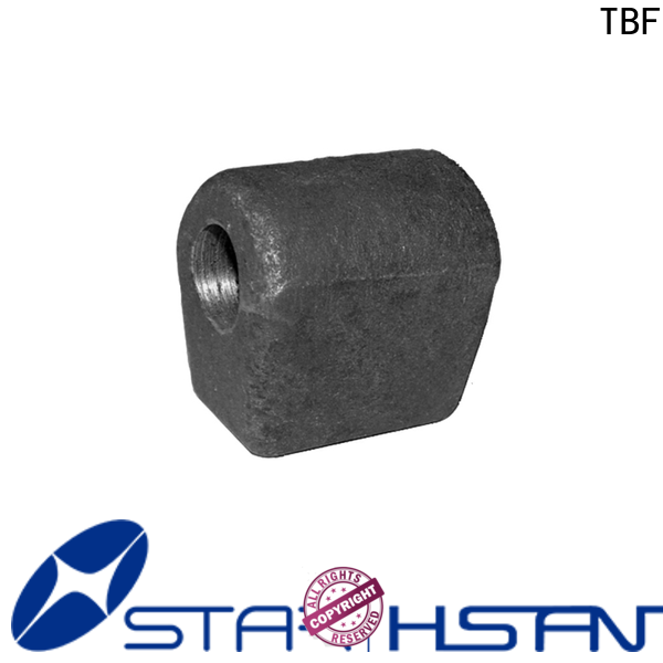 TBF utility trailer door hinges suppliers for Truck